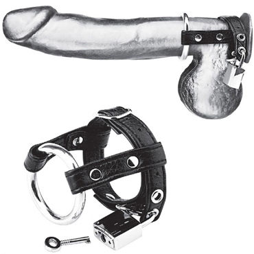 Blue Line Duo Cock and Ball Lock, черно-серебристое