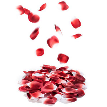 Bijoux Indiscrets Rose Petal Explosion, красные