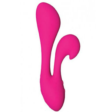 The Silhouette Swan